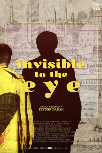 Poster de Filme INVISIBLE TO THE EYE (2020)