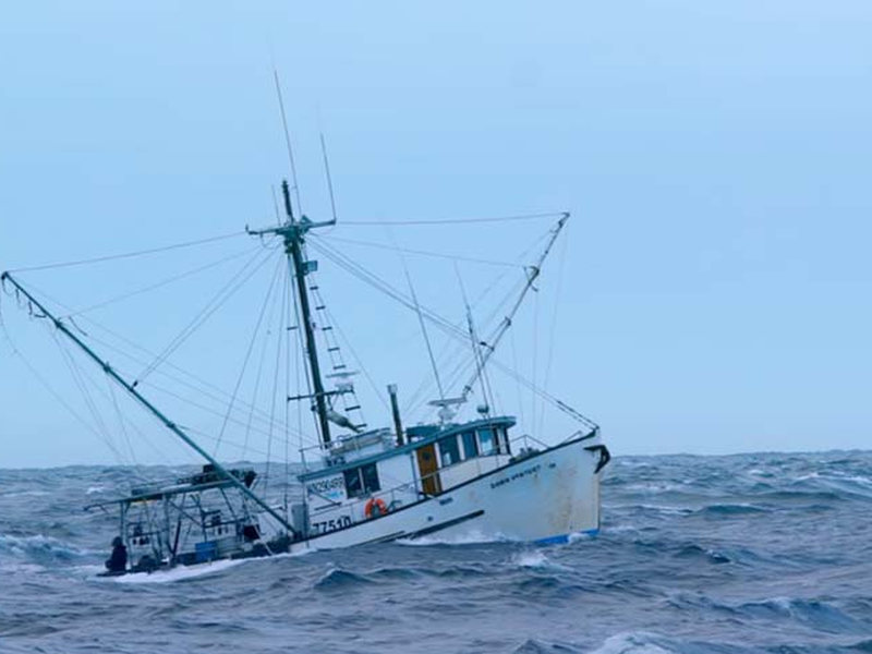 Foto 6 de Pesca Implacável