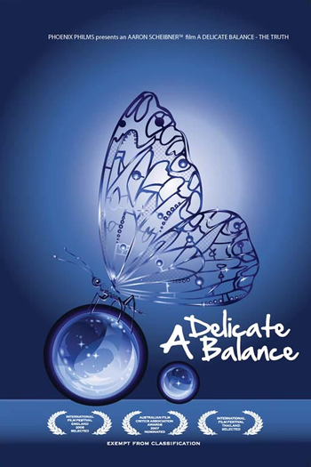 Poster de Filme A Delicate Balance: The Truth (2008)