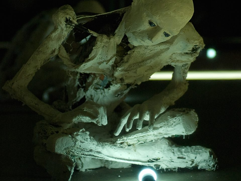 Foto 1 de To the Night