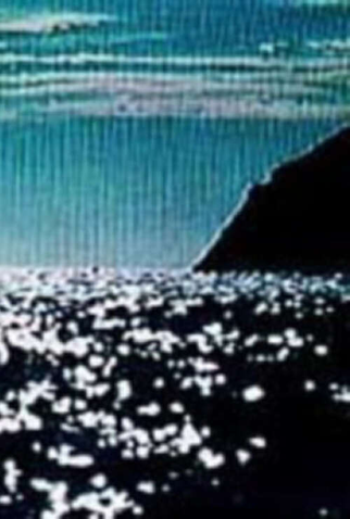 Poster 1 de Curta Com o Oceano Inteiro Para Nadar (1997)