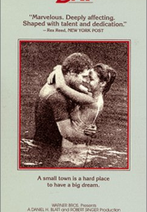 O Dia da Liberdade  (Independence Day )