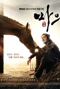 The Horse Doctor - Poster / Capa / Cartaz - Oficial 1