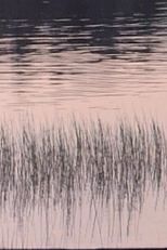 Ostensibly (Ostensibly)