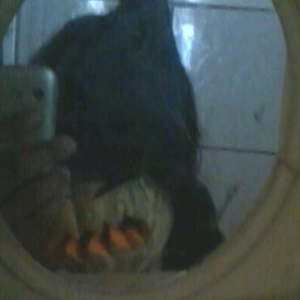 Foto de perfil de L.