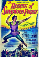 O Cavaleiro de Sherwood