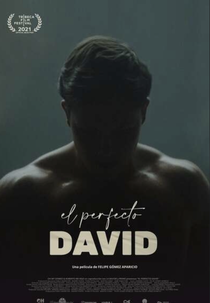 O Perfeito David (El perfecto David)