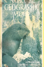 National Geografic -  O Castor, Esse Incrível Arquiteto (Rocky Mountain Beaver Pond)