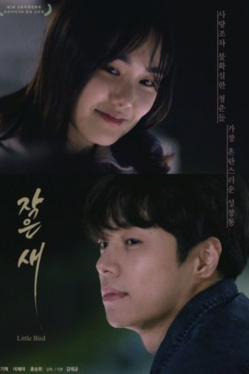 Poster de Filme Little Bird (2021)