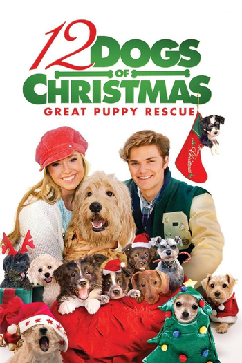 Poster de Filme Os 12 Cães de Natal: O Grande Resgate (2012)