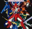 Samurai Warriors
