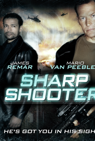 Poster 3 de Filme O Atirador de Elite (2007)