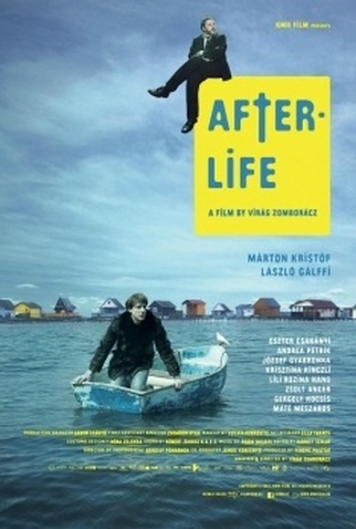 Poster 1 de Filme Depois da vida (2014)