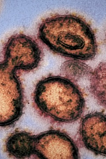 Poster de Episódio This Pandemic (2020)