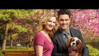Trailer: Preview - Marrying Mr. Darcy Starring Cindy Busby, Ryan Paevey