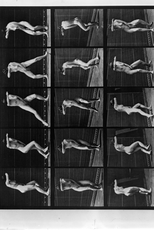 Human Figure in Motion (Human Figure in Motion)