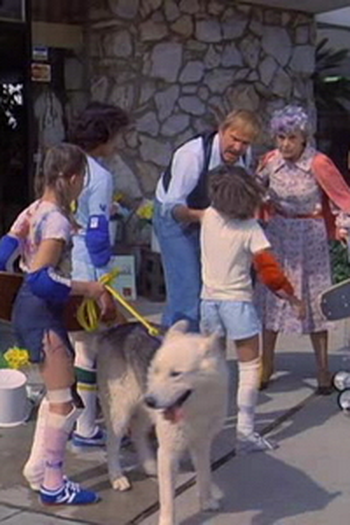 Poster de Episódio Neighborhood Watch (1978)