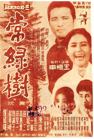 Poster 1 de Filme Evergreen Tree (1961)