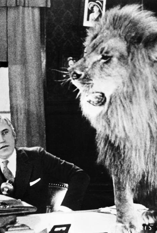 Poster 2 de Curta Roncos e hurros (1928)