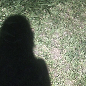 Foto de perfil de Nathalia