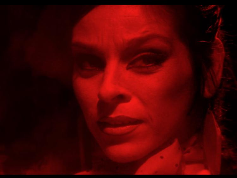 Foto 2 de The Honey Killer