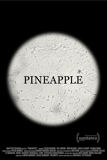Poster de Série Pineapple (2017)