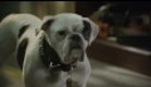 Santa Paws 2: The Santa Pups Trailer