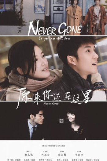 Poster de Série Never Gone (2018)