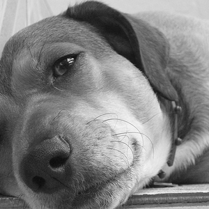 Foto de perfil de Jzehh Baronio