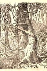 Os Faroleiros (Os Faroleiros)