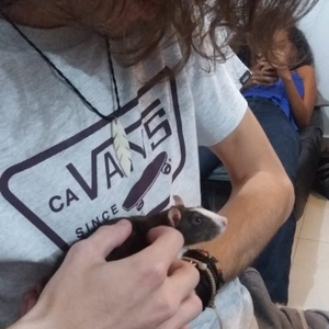 Foto de perfil de Marcelo Henrique