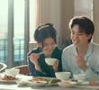 13회