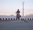 Supercycle