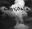 Amygdala