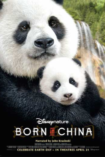 Nascidos na China - Poster / Capa / Cartaz - Oficial 1