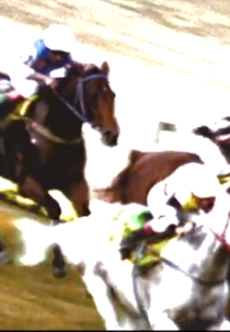 White Poney (White Poney)