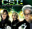 CSI: Investigação Criminal (12ª Temporada)