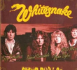 Whitesnake: Super Rock '84