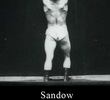Sandow