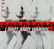 Um Tiro Para Andy Warhol