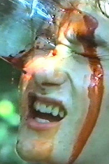 Poster de Curta Cursed Woods (1983)