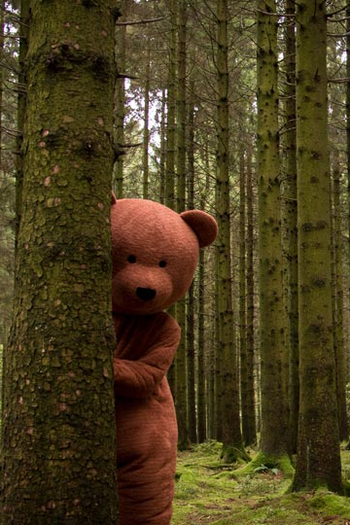 Poster de Curta The Black Bear (2015)