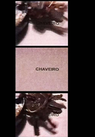 Chaveiro