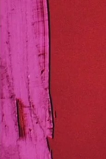 Angular Momentum (Angular Momentum)