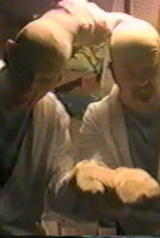 Poster 1 de Curta Mac and Plak (2010)