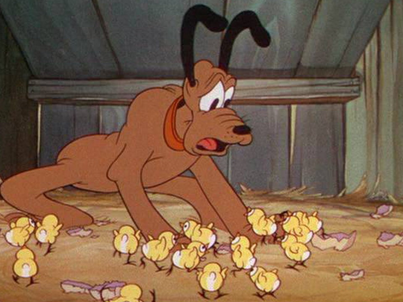 Foto 1 de Mamãe Pluto