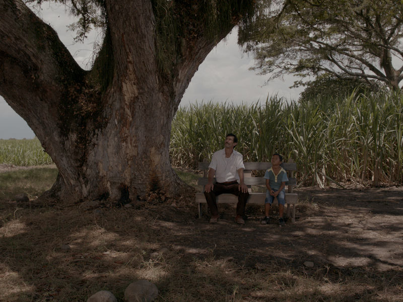 Foto 1 de A Terra e a Sombra