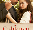 Çalıkuşu