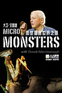 O Micromundo dos Artrópodes - Poster / Capa / Cartaz - Oficial 1