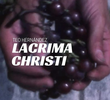 Lacrima Christi
